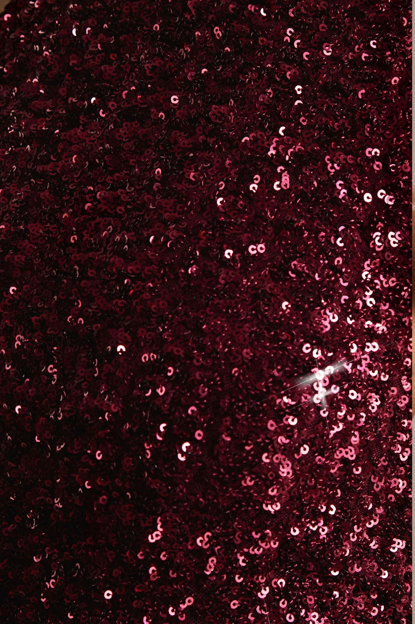 Tulia | Burgundy Sequin High-Neck Maxi Dress